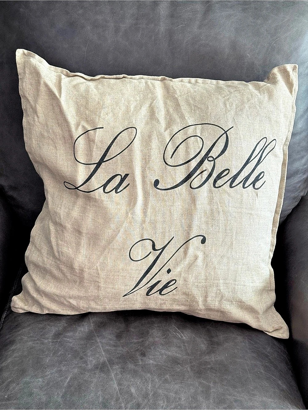 La Belle Vie Accent Pillow in Beige